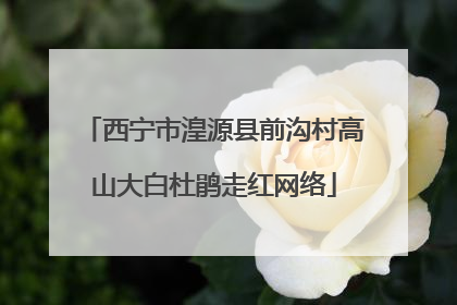 西宁市湟源县前沟村高山大白杜鹃走红网络