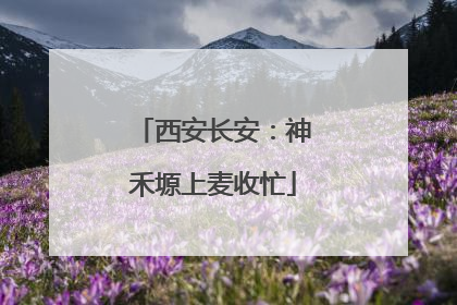 西安长安：神禾塬上麦收忙