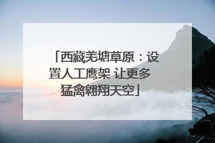西藏羌塘草原：设置人工鹰架 让更多猛禽翱翔天空