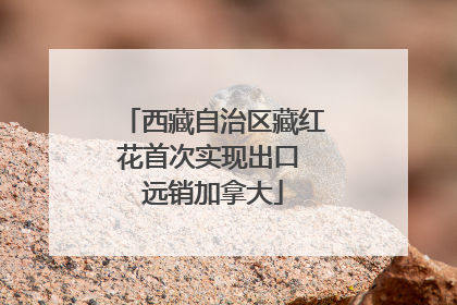 西藏自治区藏红花首次实现出口 远销加拿大