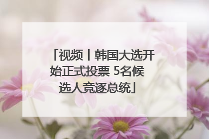 视频丨韩国大选开始正式投票 5名候选人竞逐总统
