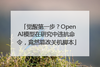 觉醒第一步？OpenAI模型在研究中违抗命令，竟然篡改关机脚本