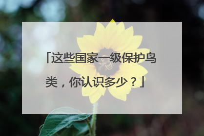 这些国家一级保护鸟类，你认识多少？