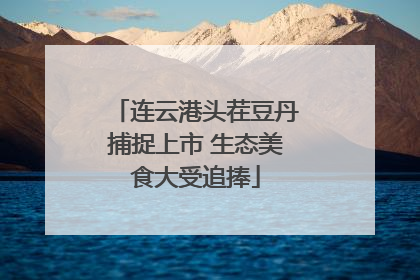 连云港头茬豆丹捕捉上市 生态美食大受追捧
