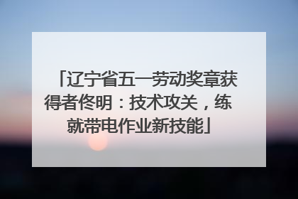辽宁省五一劳动奖章获得者佟明：技术攻关，练就带电作业新技能