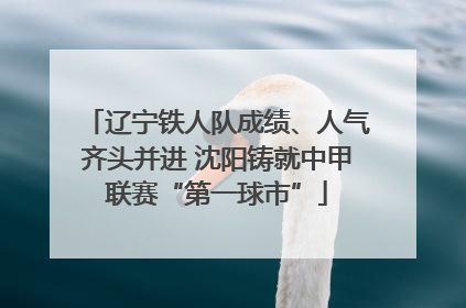 辽宁铁人队成绩、人气齐头并进 沈阳铸就中甲联赛“第一球市”