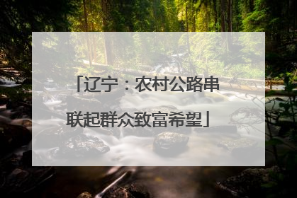 辽宁：农村公路串联起群众致富希望