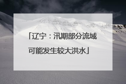 辽宁：汛期部分流域可能发生较大洪水