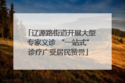 辽源路街道开展大型专家义诊 “一站式”诊疗广受居民赞誉