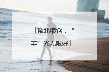 豫北粮仓，“丰”光无限好