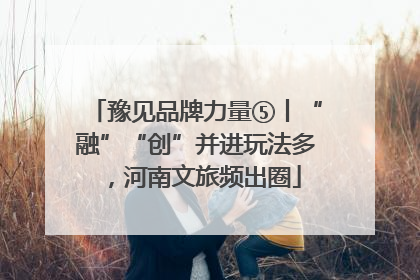 豫见品牌力量⑤丨“融”“创”并进玩法多，河南文旅频出圈