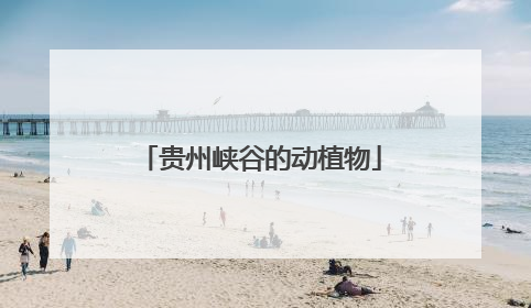 贵州峡谷的动植物