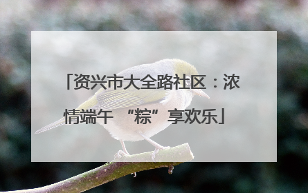 资兴市大全路社区：浓情端午 “粽”享欢乐