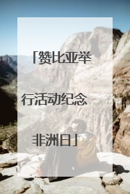 赞比亚举行活动纪念非洲日