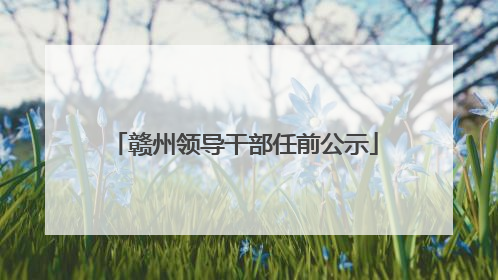 赣州领导干部任前公示