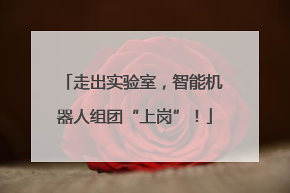 走出实验室，智能机器人组团“上岗”！