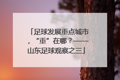 足球发展重点城市，“重”在哪？——山东足球观察之三