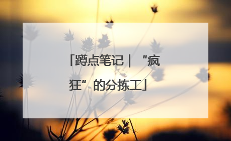 蹲点笔记｜“疯狂”的分拣工