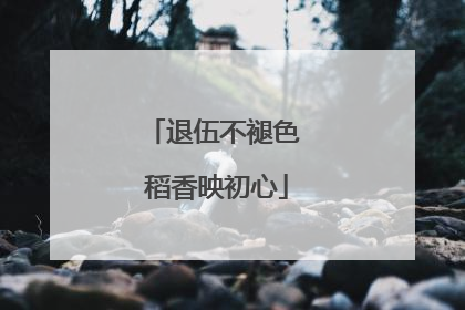 退伍不褪色 稻香映初心