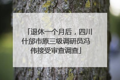 退休一个月后，四川什邡市原三级调研员冯伟接受审查调查