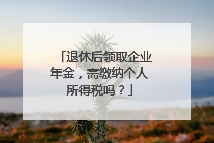 退休后领取企业年金，需缴纳个人所得税吗？