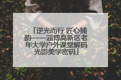 逆光而行 匠心捕韵——淄博高新区老年大学户外课堂解码光影美学密码