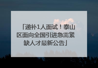 递补1人面试！泰山区面向全国引进急需紧缺人才最新公告