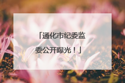 通化市纪委监委公开曝光！