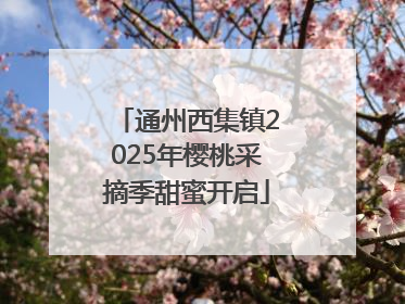 通州西集镇2025年樱桃采摘季甜蜜开启