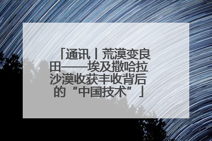 通讯丨荒漠变良田——埃及撒哈拉沙漠收获丰收背后的“中国技术”