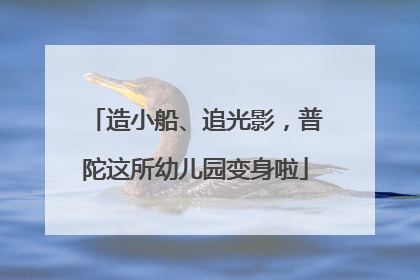 造小船、追光影，普陀这所幼儿园变身啦
