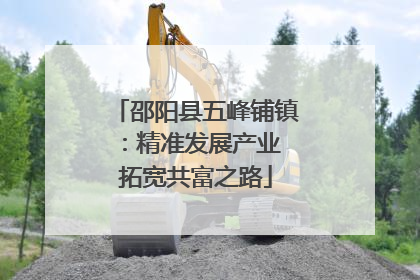 邵阳县五峰铺镇：精准发展产业 拓宽共富之路