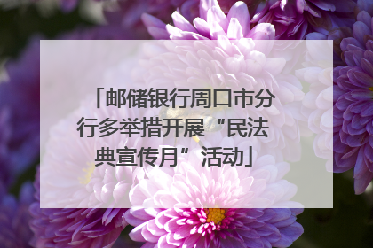 邮储银行周口市分行多举措开展“民法典宣传月”活动