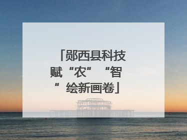 郧西县科技赋“农”“智”绘新画卷