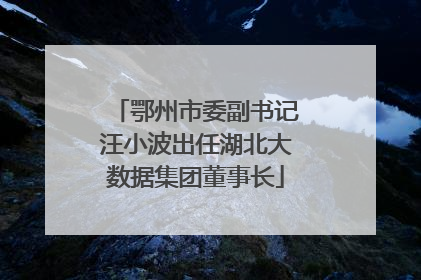 鄂州市委副书记汪小波出任湖北大数据集团董事长