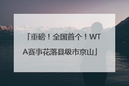 重磅！全国首个！WTA赛事花落县级市京山