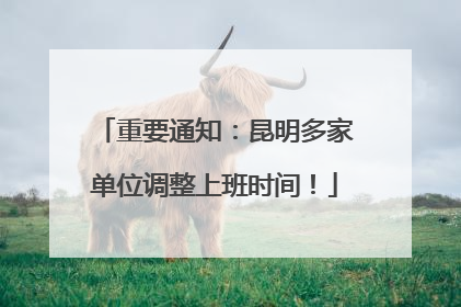 重要通知：昆明多家单位调整上班时间！