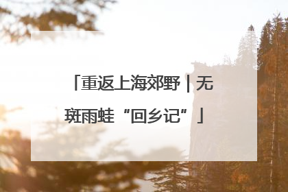 重返上海郊野｜无斑雨蛙“回乡记”