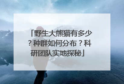 野生大熊猫有多少？种群如何分布？科研团队实地探秘