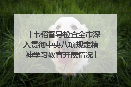韦韬督导检查全市深入贯彻中央八项规定精神学习教育开展情况