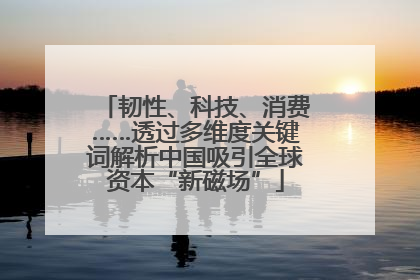 韧性、科技、消费……透过多维度关键词解析中国吸引全球资本“新磁场”