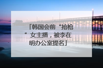 韩国会前“抢枪”女主播，被李在明办公室提名