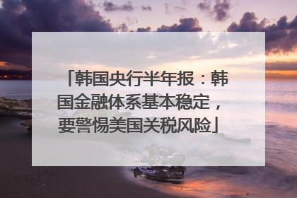 韩国央行半年报：韩国金融体系基本稳定，要警惕美国关税风险