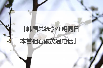 韩国总统李在明同日本首相石破茂通电话