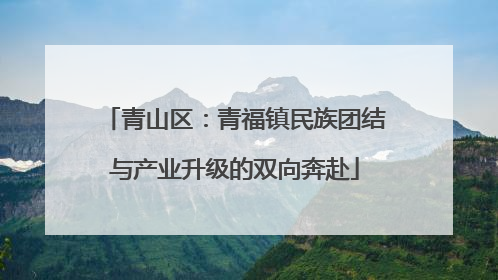 青山区：青福镇民族团结与产业升级的双向奔赴