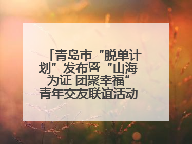 青岛市“脱单计划”发布暨“山海为证 团聚幸福”青年交友联谊活动浪漫开启