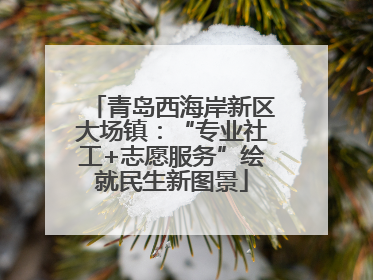 青岛西海岸新区大场镇：“专业社工+志愿服务”绘就民生新图景