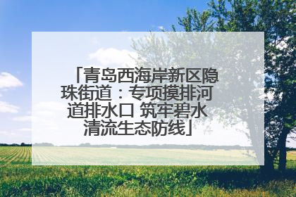 青岛西海岸新区隐珠街道：专项摸排河道排水口 筑牢碧水清流生态防线