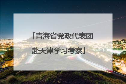青海省党政代表团赴天津学习考察