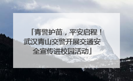 青警护苗，平安启程！武汉青山交警开展交通安全宣传进校园活动
